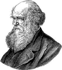 Darwin